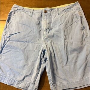 American Eagle Outfitters Blue Flat Front Shorts